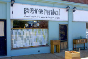 Perennial