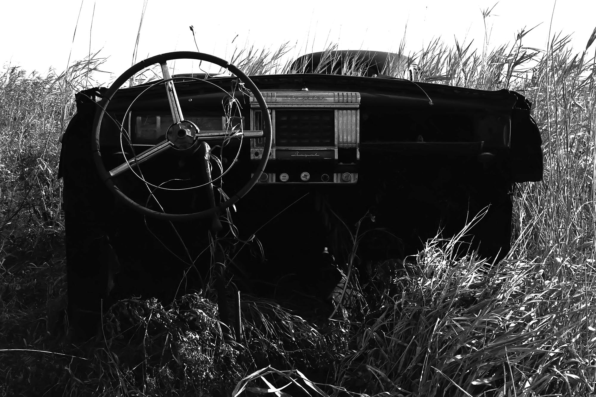"At a Dash" - Mark_Polege