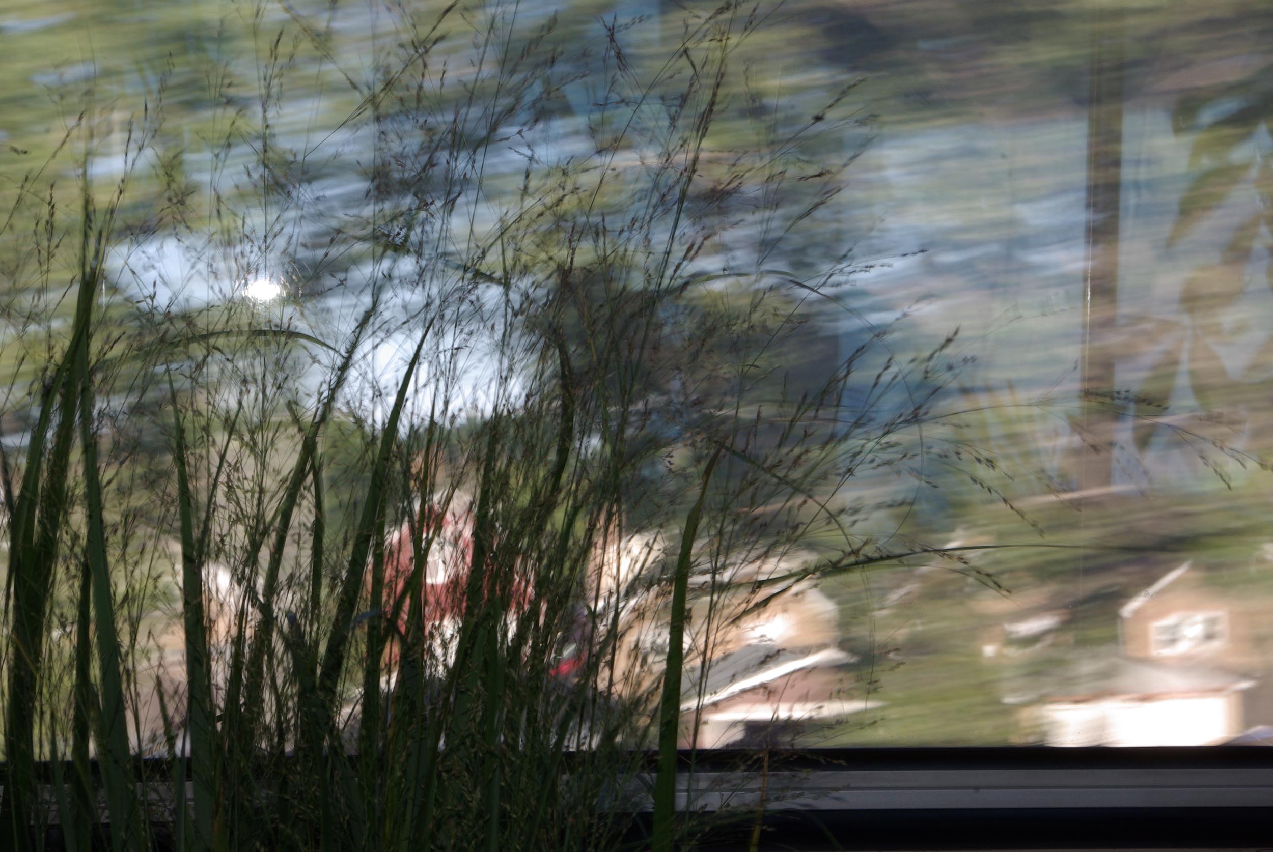 inversion-city-obscured-plants-remain_6159085346_o