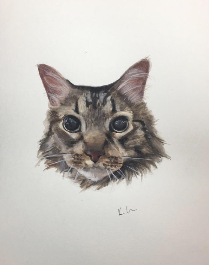 cat 1