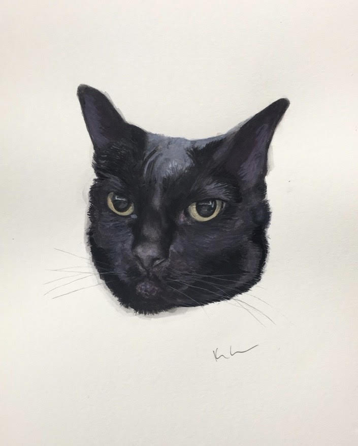 cat 2