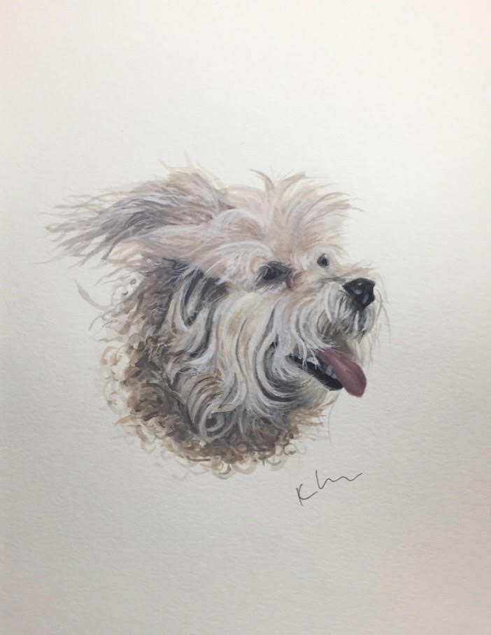 dog 1