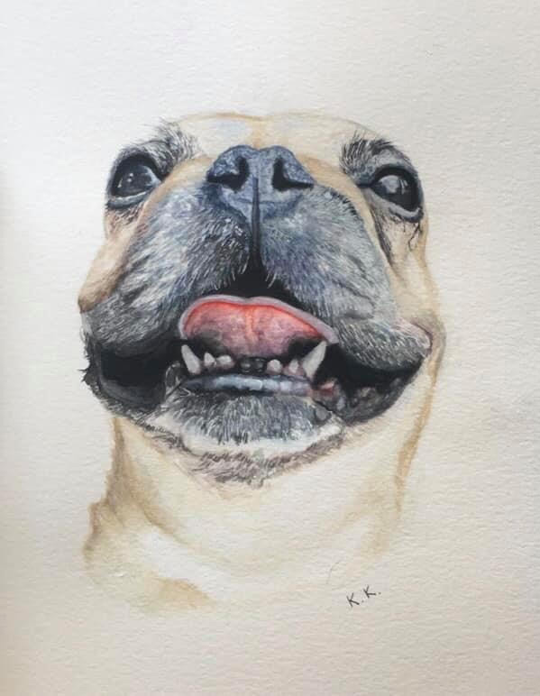 dog 2