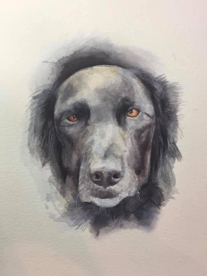 dog 3