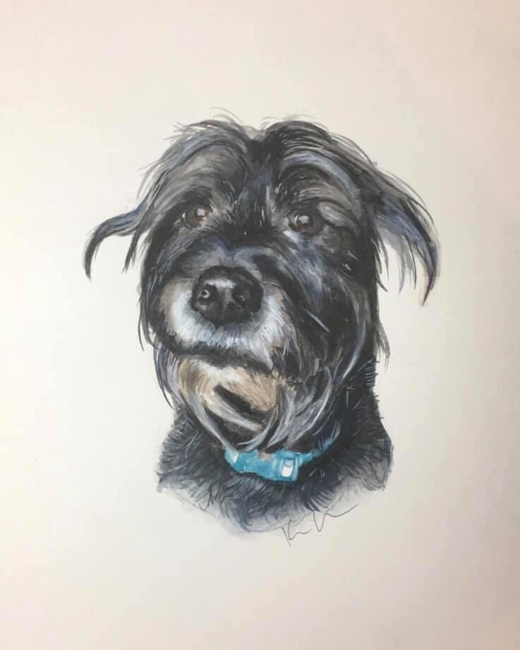 dog 4