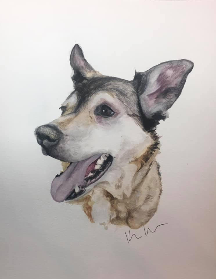 dog 6