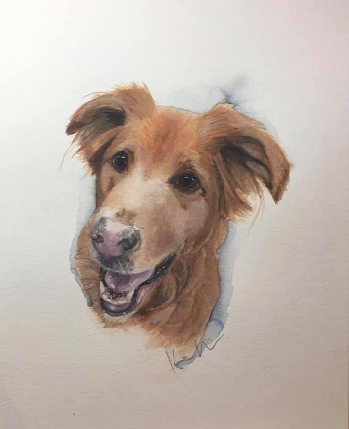 dog5